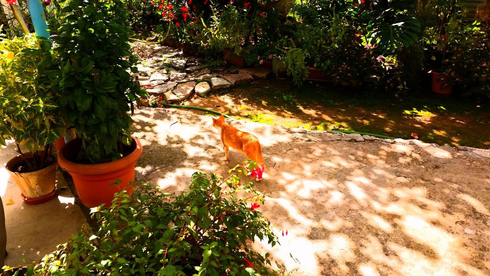 The Grandfather'S Room Himare Esterno foto